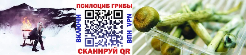 где найти наркотики blacksprut зеркало Галлюциногенные грибы Magic Shrooms Юрга