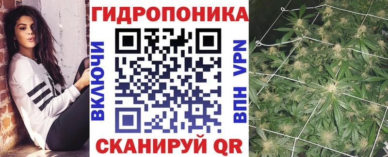 Шишки марихуана гибрид  Юрга 